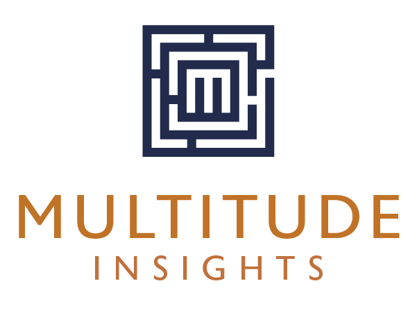 Multitude Insights